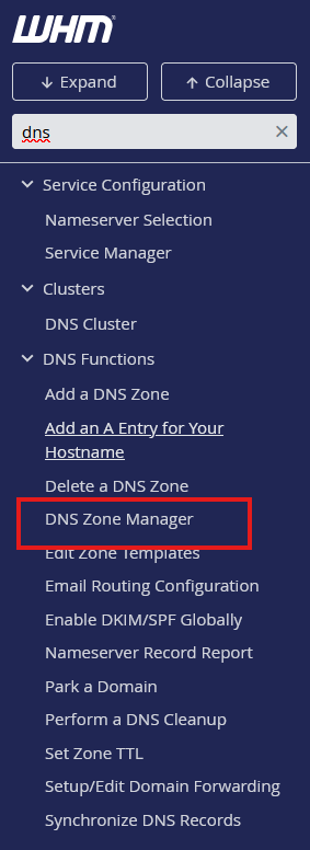 Editing DNS Zone Files in WHM/cPanel